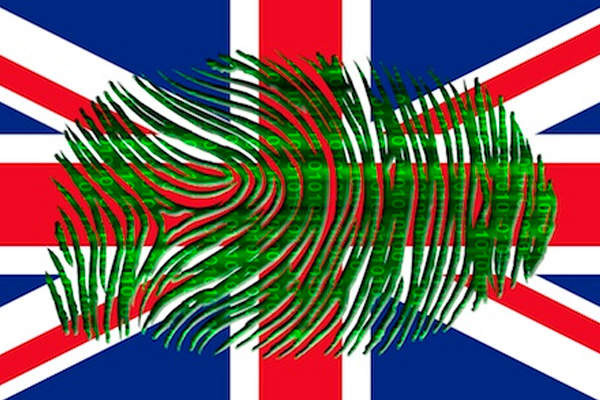 wp-1405413585308 image