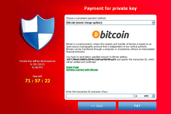 wp-1407837586095 image