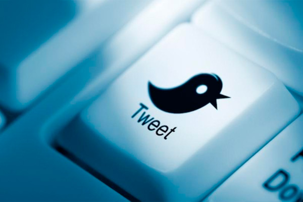 wp-1426170392141 image